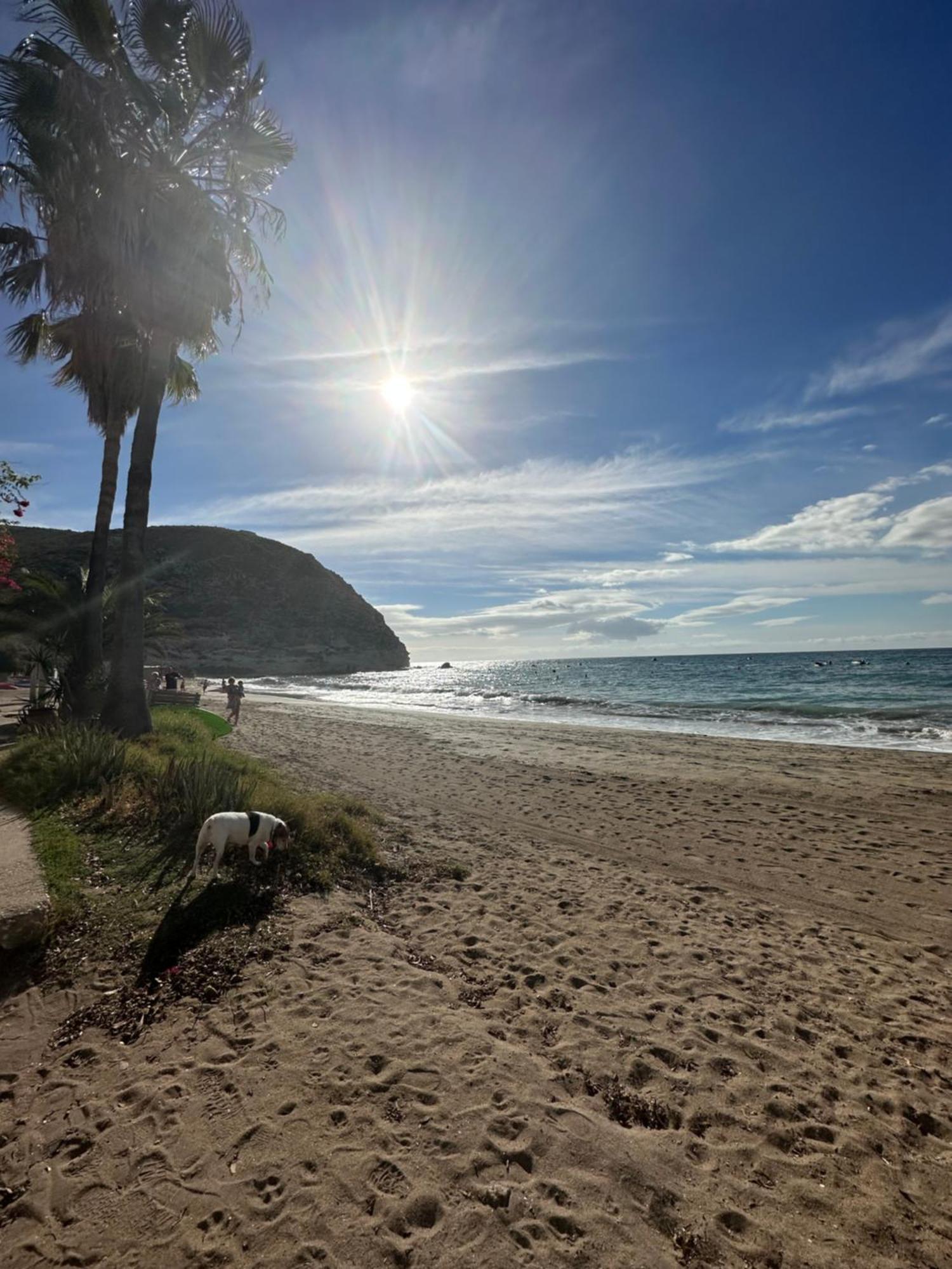 Arto Blanco Διαμέρισμα Agua Amarga  Εξωτερικό φωτογραφία