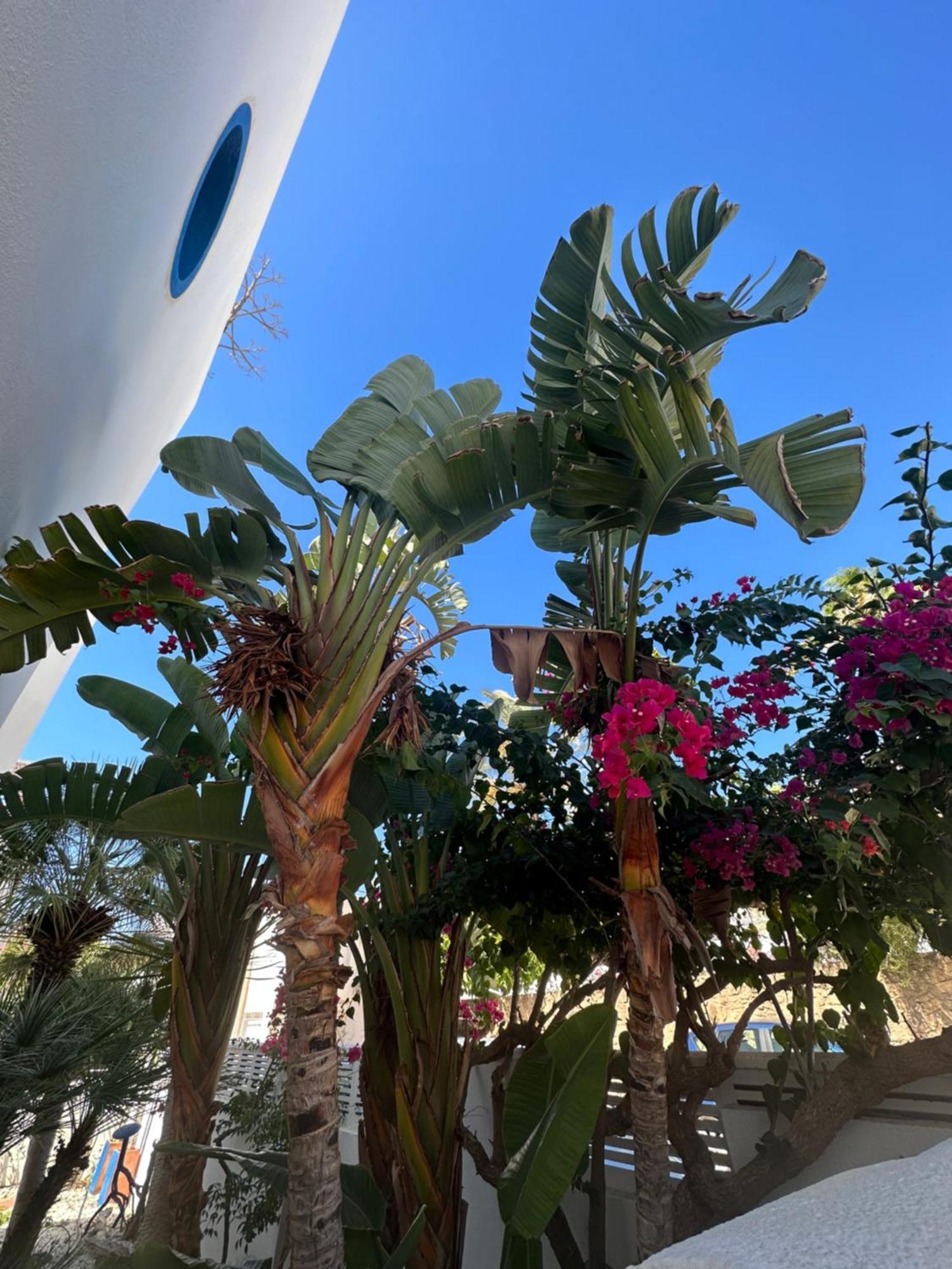 Arto Blanco Διαμέρισμα Agua Amarga  Εξωτερικό φωτογραφία