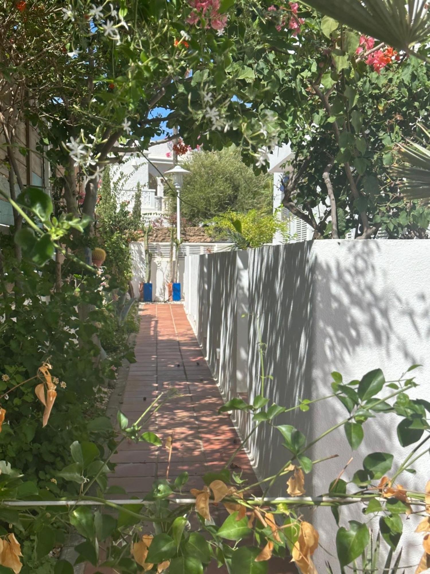 Arto Blanco Διαμέρισμα Agua Amarga  Εξωτερικό φωτογραφία